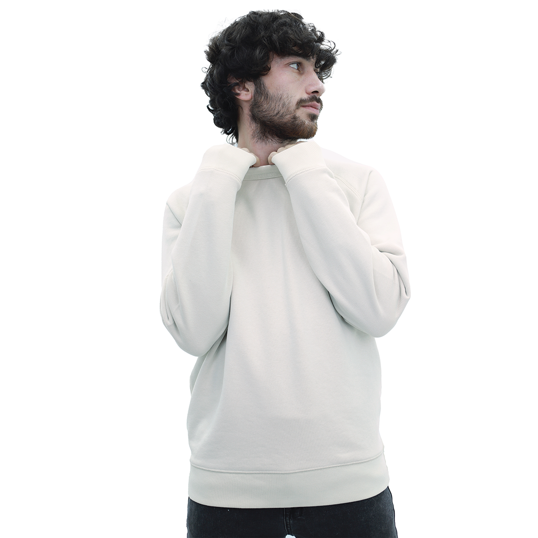 Unisex Premium Reglan Sweatshirts