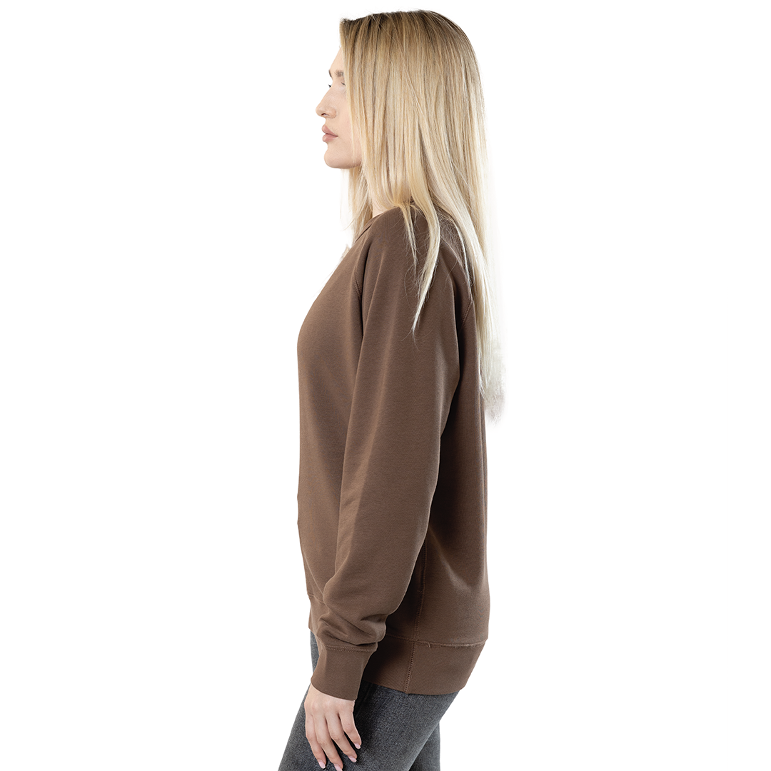 Unisex Premium Reglan Sweatshirts