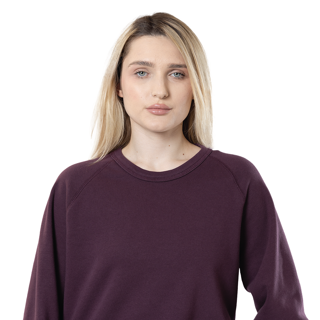 Unisex Premium Reglan Sweatshirts